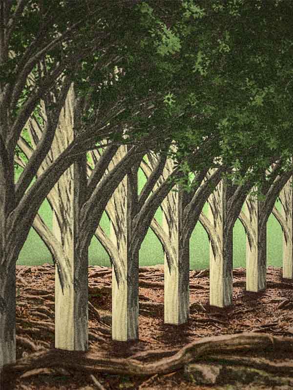 un-natural forest